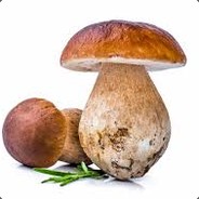 TonyPorcini