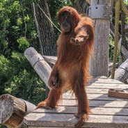 Dol_Guldur13's Avatar