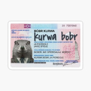 Steam profile avatar of Bóbr