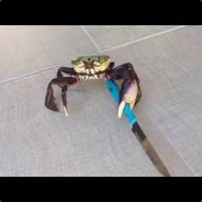 Crabbo avatar