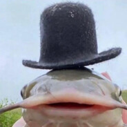 Elriatón Vaquero