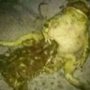 MikeTheMemeLord