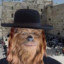 Jewbacca