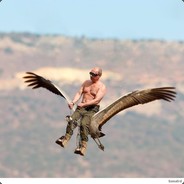 Bot
