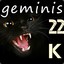 geminis22k