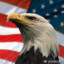 American (D)eagle