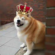 Bigdoge