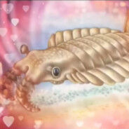 Anomalocaris
