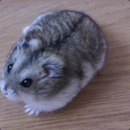 XFanBoBo