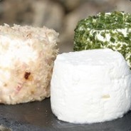 Le petit chèvre frais's Avatar