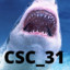 CSC_31