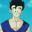 Son Gohan