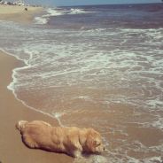 I AM NAPOLEON's Avatar