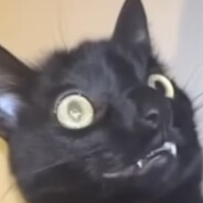 Ð-€-R-₮-¥-$