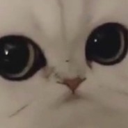 Z7 ∞Ottovordemgentschenfeld