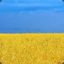 *-ПТН(..!..)ПНХ-*