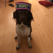 FullSendJari's Avatar