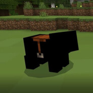 Pigger