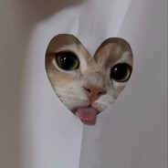 qq