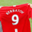 Berbatov Jr