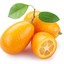 Kumquat Juice