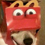 flex