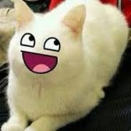 rﮠՖՖ♡рL♌վ㉹r♭r