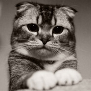Khiêu vũ đi - steam id 76561197964370800