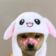 Bunny