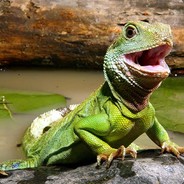 Iguanarama