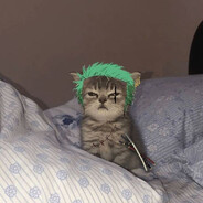 meo-zoro