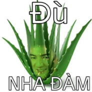 Nha Đàm