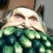 romamax228