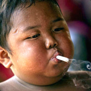 O Pequeno Fumante da Indonésia's Avatar
