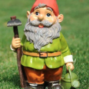 Gnome [6]