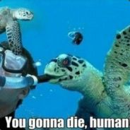 ϖmo|RazAlGuhl's Avatar