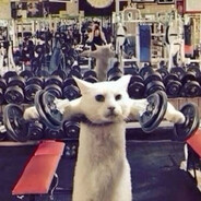 eugen91gym