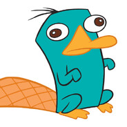 Perry the Platypus