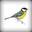 Group Avatar