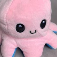 Octopus Filuś