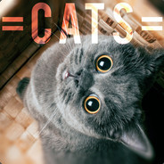 =CATS=