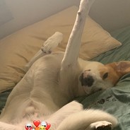 Poopie