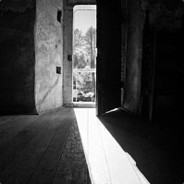 The Last Open Door