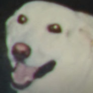 Kikanoob