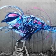 @BIRDPERSON