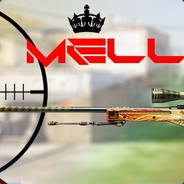 ★⑳ MELLawp ︻芫  一