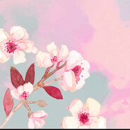 Cherry Blossom