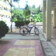 风花雪月's Avatar