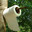 Group Avatar