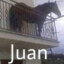 JUAN